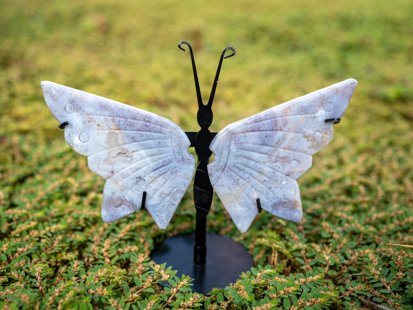 Pink Ocean Jasper Butterfly wings in Metal Stand