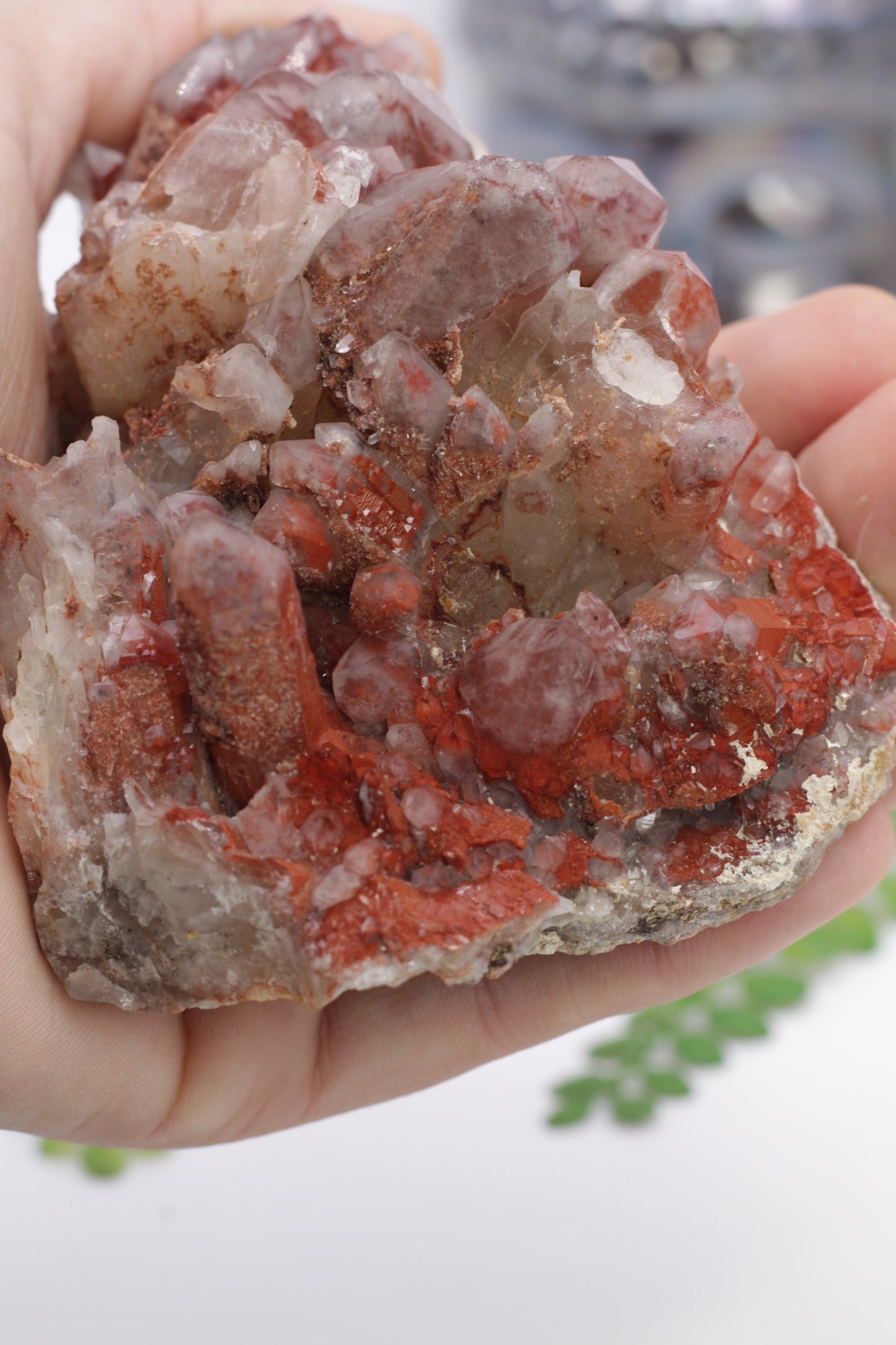 Orange River Red Hematite Inclueded Quartz Cluster from Africa