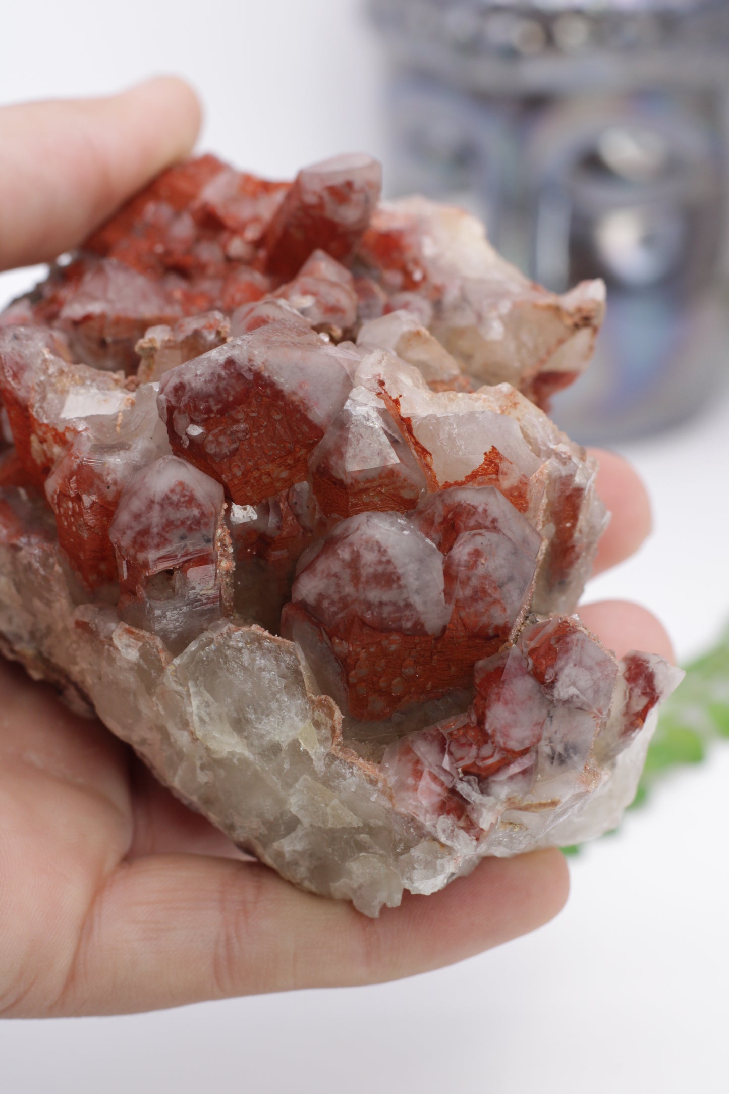 Orange River Red Hematite Inclueded Quartz Cluster from Africa