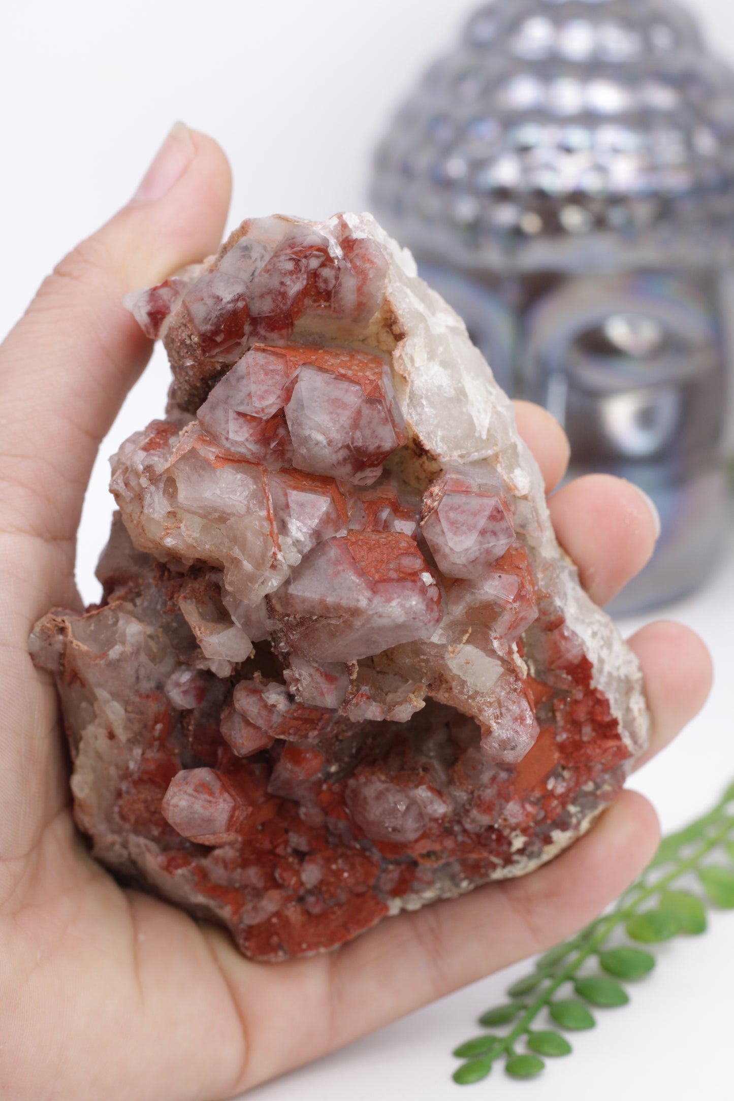 Orange River Red Hematite Inclueded Quartz Cluster from Africa