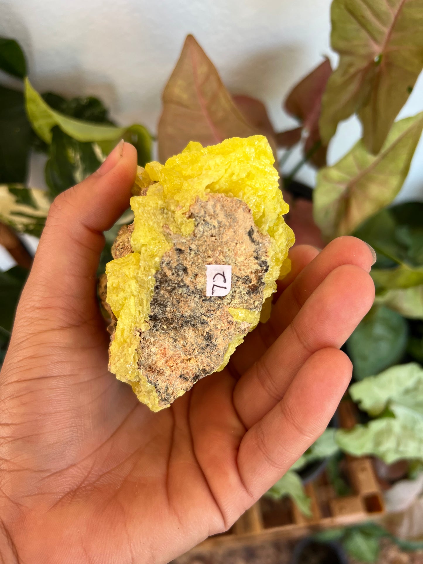 Sulphur Specimen