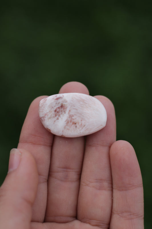 Scolecite Cabochon