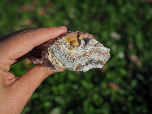 Rough Laguna Lace Agate