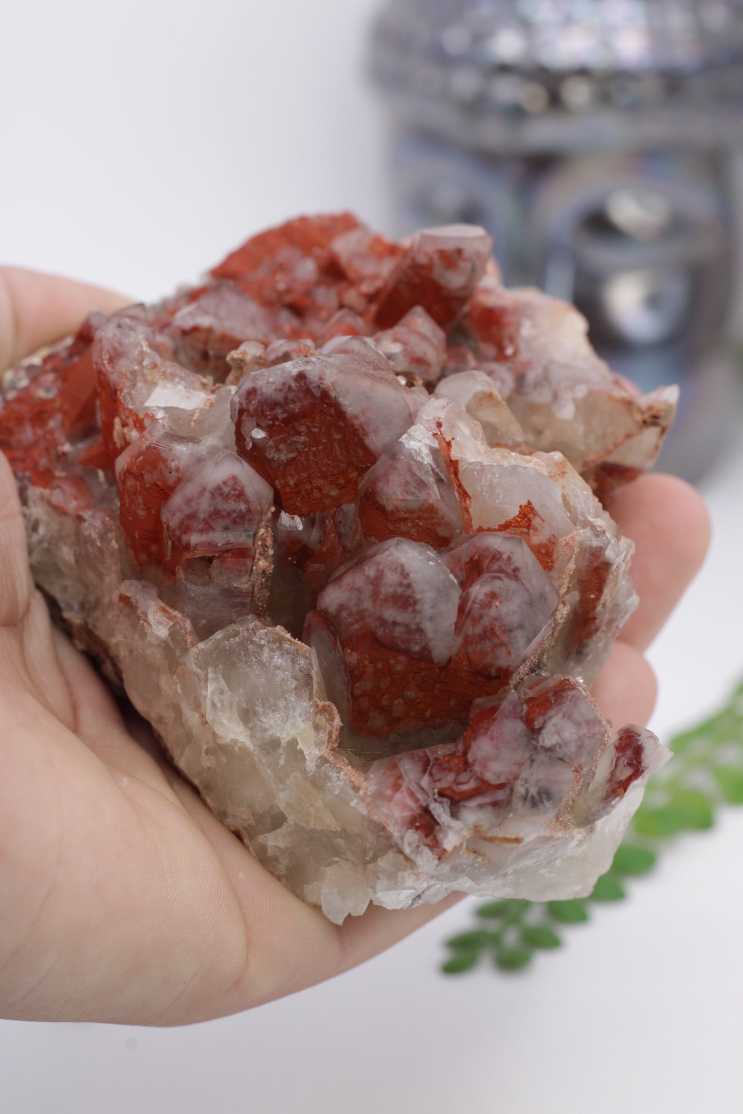 Orange River Red Hematite Inclueded Quartz Cluster from Africa